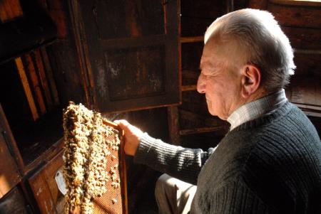 Čebelarstvo v Sloveniji, način življenja vpisano na Unescov seznam nesnovne kulturne dediščine